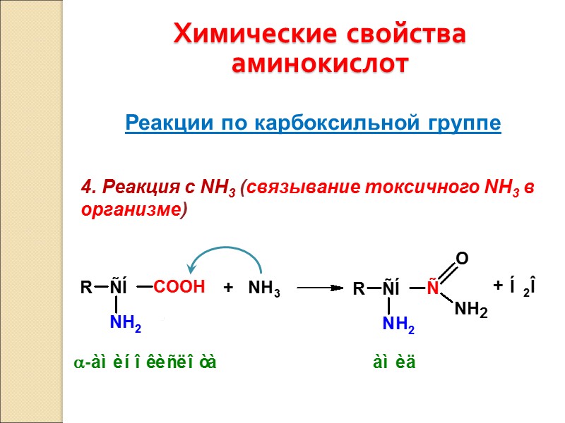 Химические свойства аминокислот Реакции по карбоксильной группе 4. Реакция с NH3 (связывание токсичного NH3